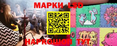 PSILOCYBIN Бугуруслан