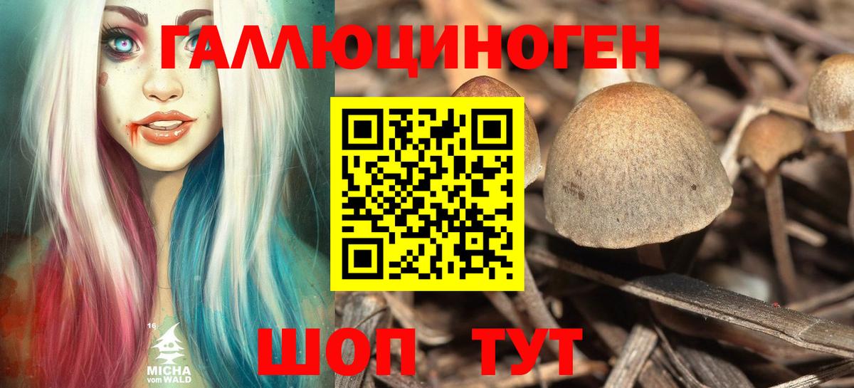 Галлюциногенные грибы Cubensis Новосибирск