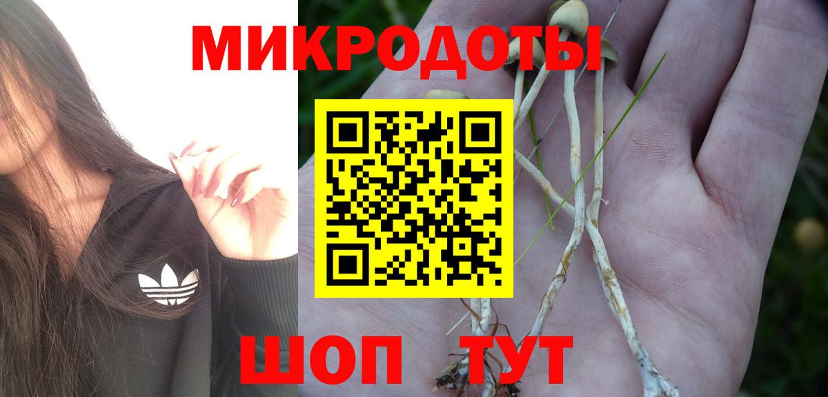 Псилоцибиновые грибы мицелий  Псилоцибиновые грибы мицелий  Вход с VPN  Новосибирск 