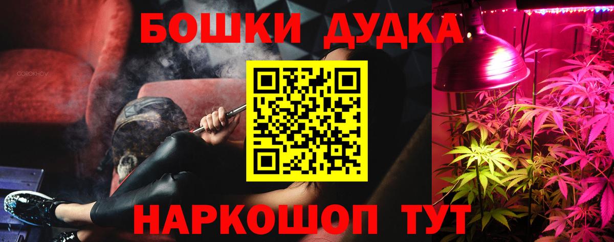 Шишки марихуана план Новосибирск